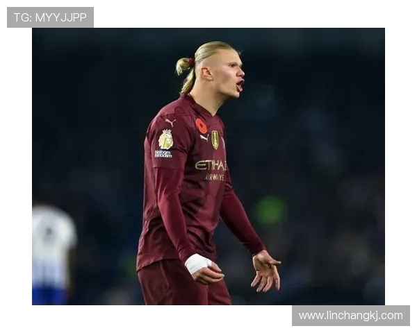 剑南春煮酒绿茵:哈兰德 12 场连破,纪录能续吗? 剑南春煮酒绿茵:哈兰德 12 场连破,纪录能续吗?